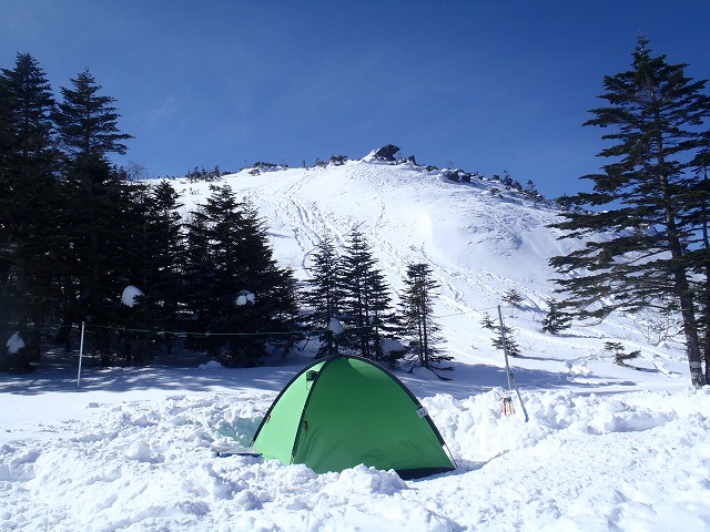 c0147398_11374668.jpg