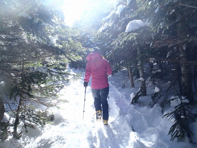 c0147398_11381391.jpg