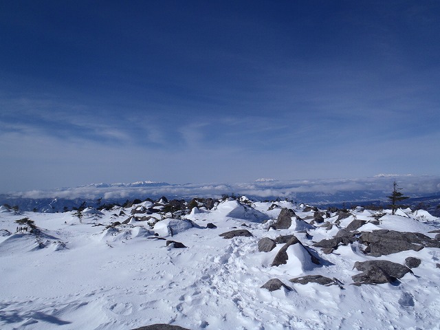 c0147398_11383339.jpg
