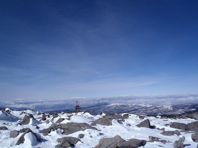 c0147398_11384498.jpg