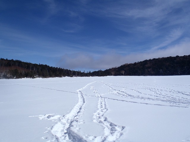 c0147398_1139184.jpg