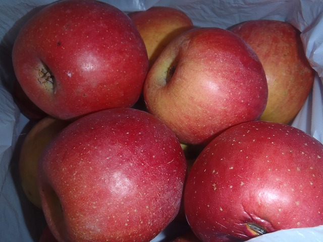 c0147398_11423733.jpg