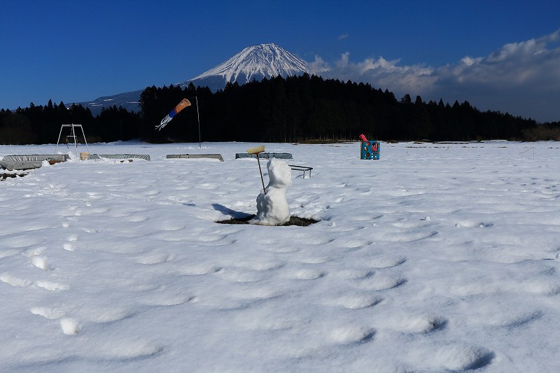 a0188405_23483392.jpg