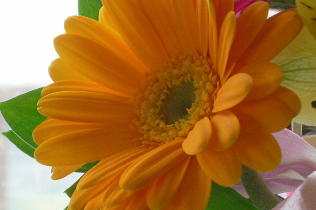 a0214206_1232134.jpg
