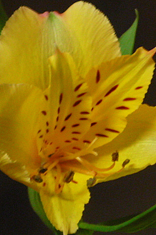 a0214206_124639.jpg