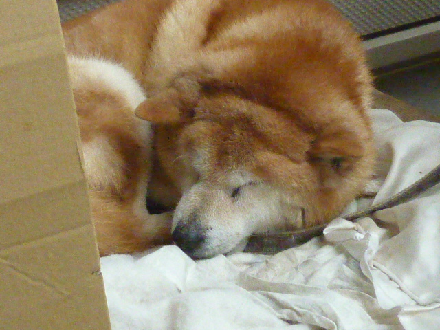d0178017_09593368.jpg