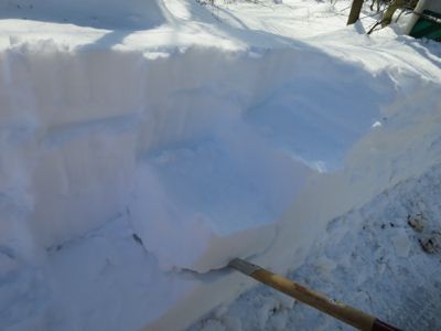 e0192217_1420017.jpg