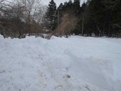 e0192217_147521.jpg