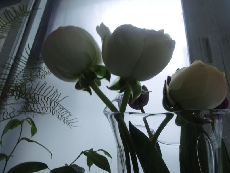 f0045630_17333027.jpg