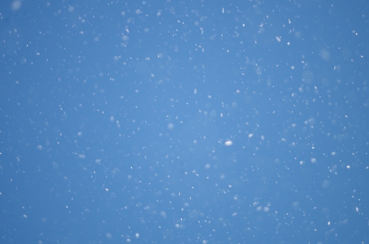 d0165741_10565226.jpg