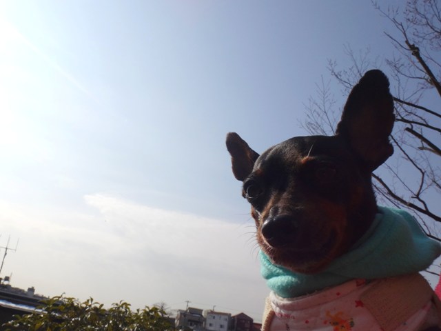 e0150843_22341477.jpg