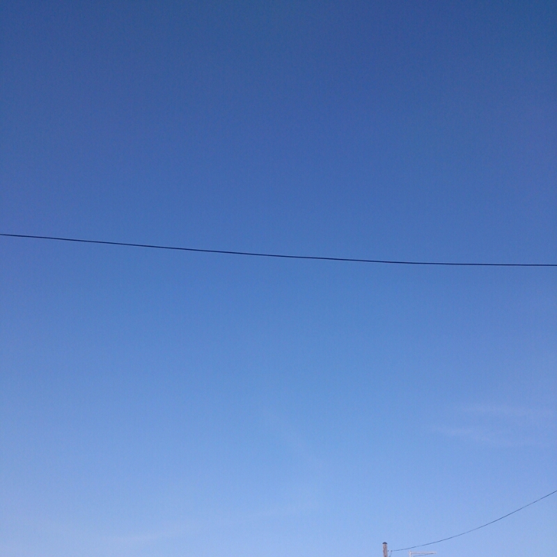 c0311170_1683640.jpg