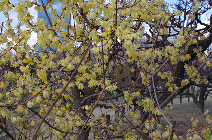 f0303870_22352054.jpg