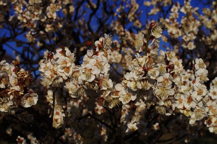 f0303870_2335088.jpg