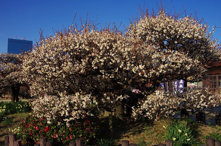 f0303870_2371945.jpg