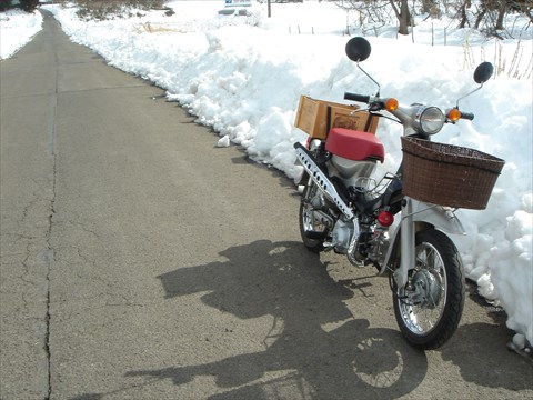 b0080681_2025166.jpg