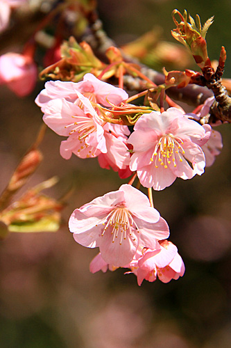 b0014607_2036513.jpg