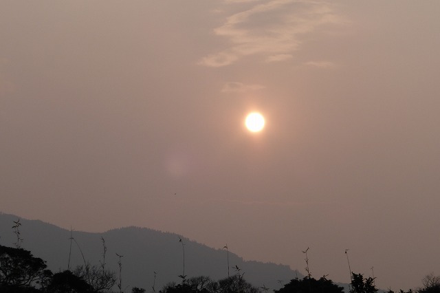 d0037110_19251022.jpg