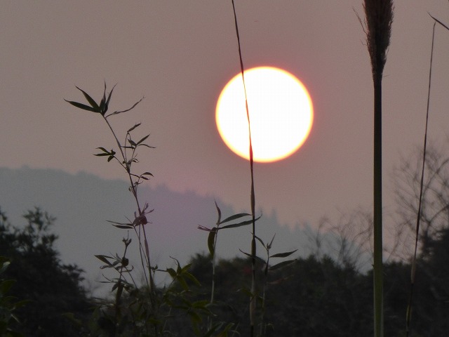 d0037110_1929014.jpg