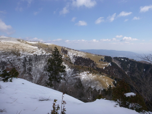 d0170615_1441391.jpg
