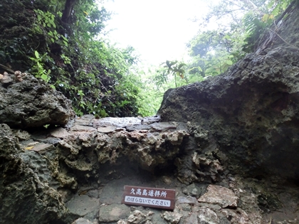 a0105023_22315048.jpg