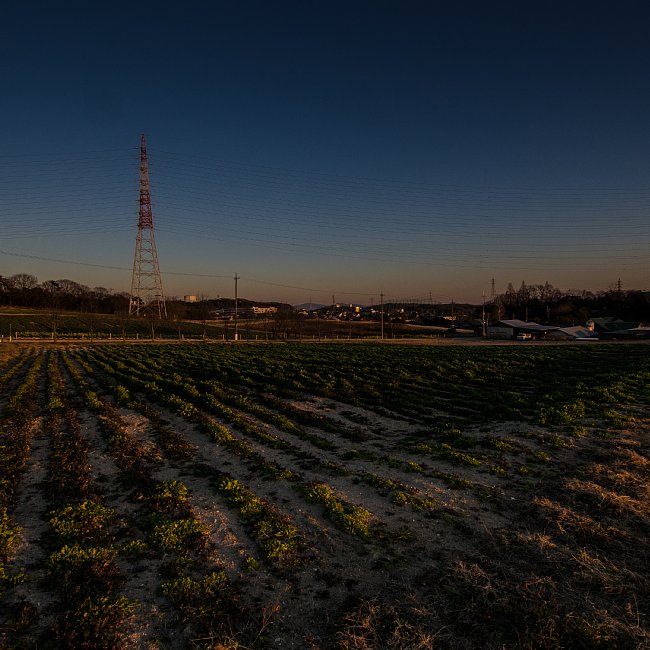 b0134829_13323329.jpg