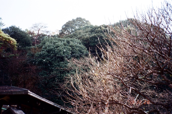 a0255730_12364870.jpg