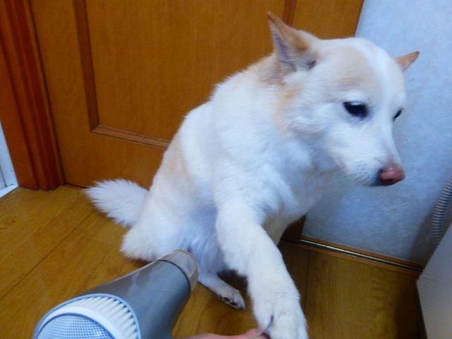 b0138430_15523289.jpg
