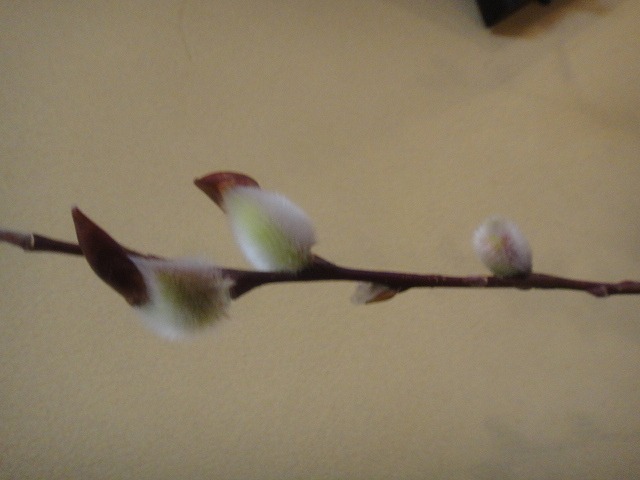 f0208737_819892.jpg