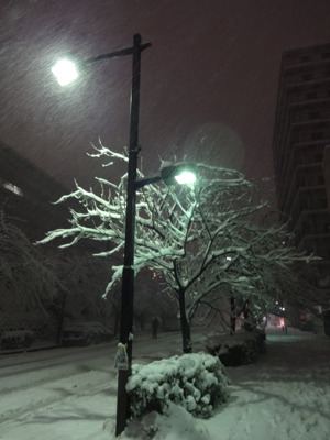 f0141840_01211187.jpg