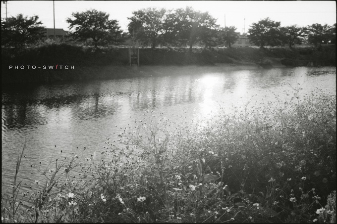 c0156854_20204730.jpg