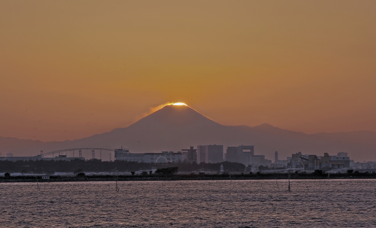 a0150260_0144086.jpg