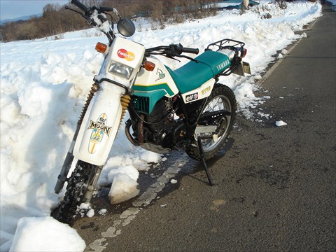 b0080681_17445311.jpg