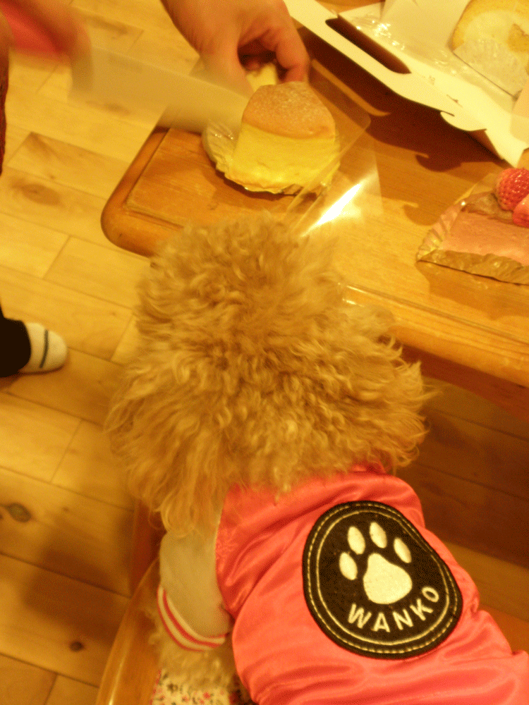 b0098881_22433456.gif
