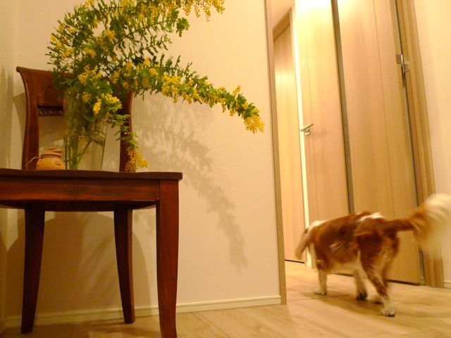 a0079292_1033877.jpg