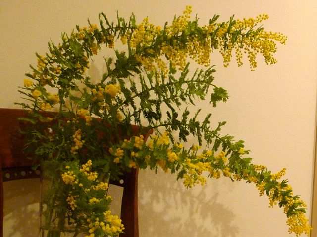 a0079292_10361426.jpg