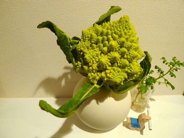 a0079292_10493483.jpg