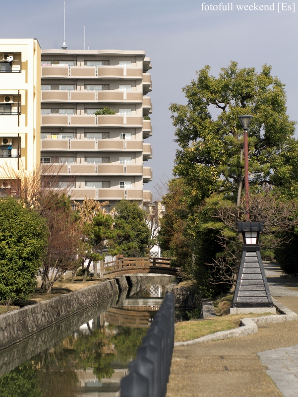 b0138101_02962.jpg