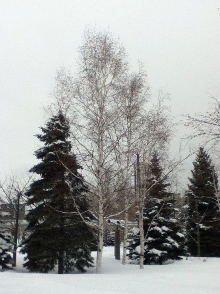 e0322201_6343615.jpg