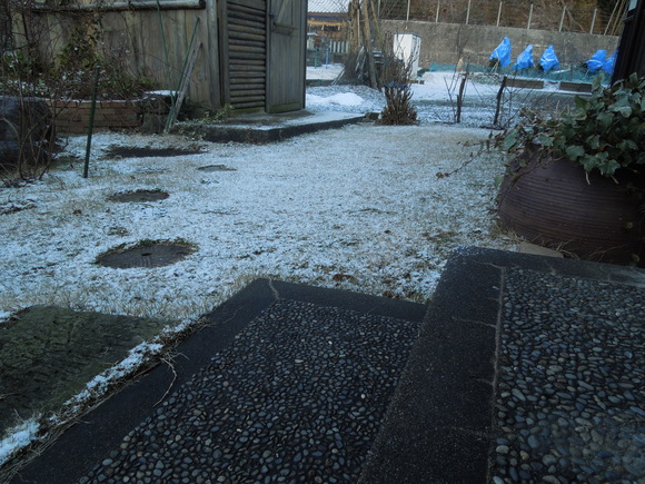 f0297809_11286.jpg