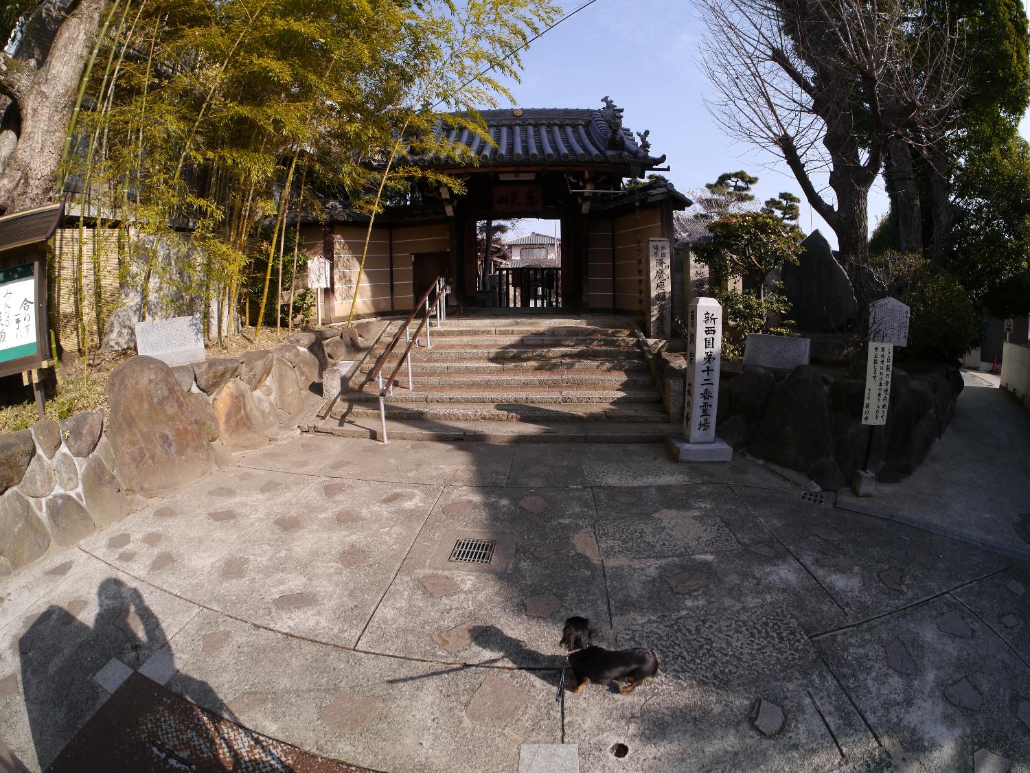 b0069128_1647363.jpg