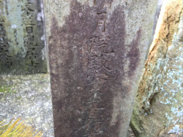 f0111128_18112363.jpg
