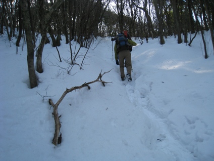 c0077338_2184568.jpg