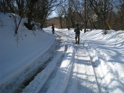 c0077338_218687.jpg