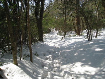 c0077338_2192863.jpg