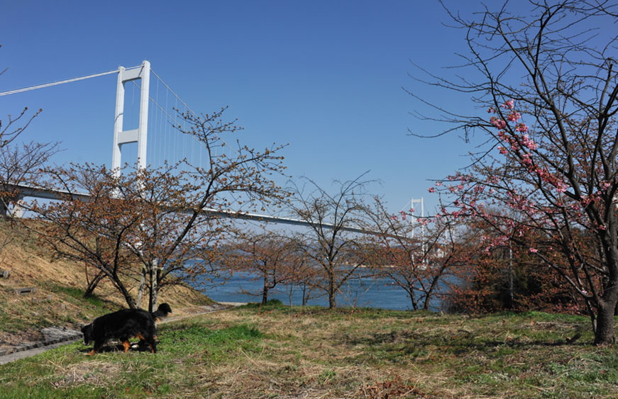 b0075541_21325993.jpg