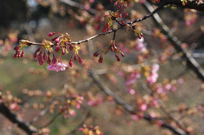 b0075541_213551100.jpg