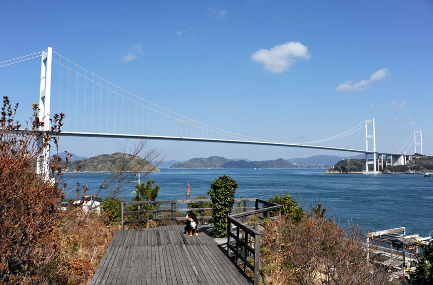 b0075541_21384739.jpg