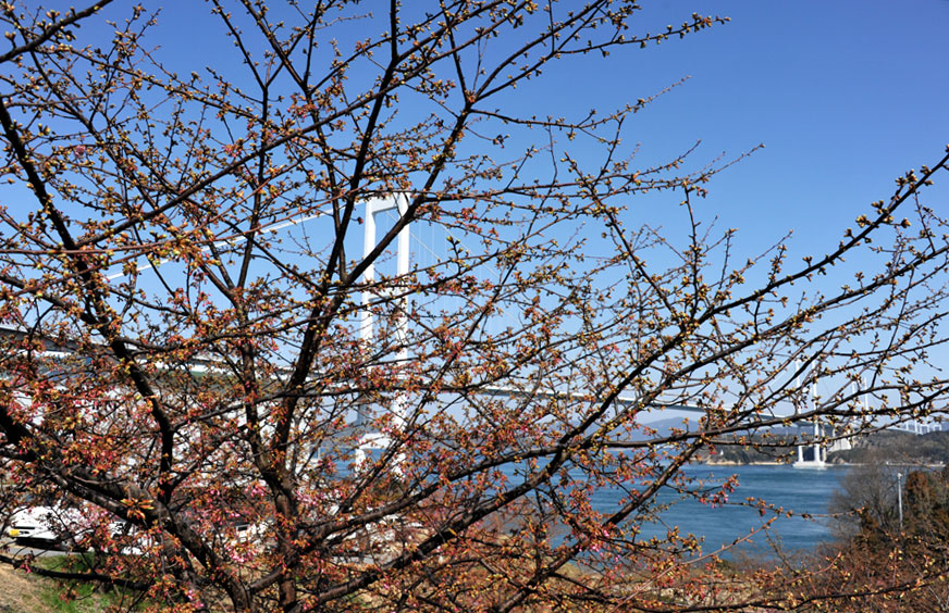 b0075541_21563990.jpg