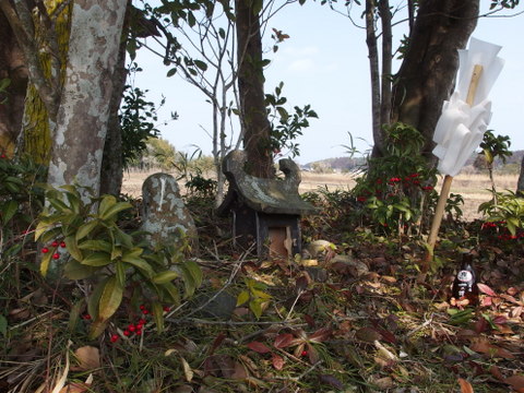 b0199742_824435.jpg